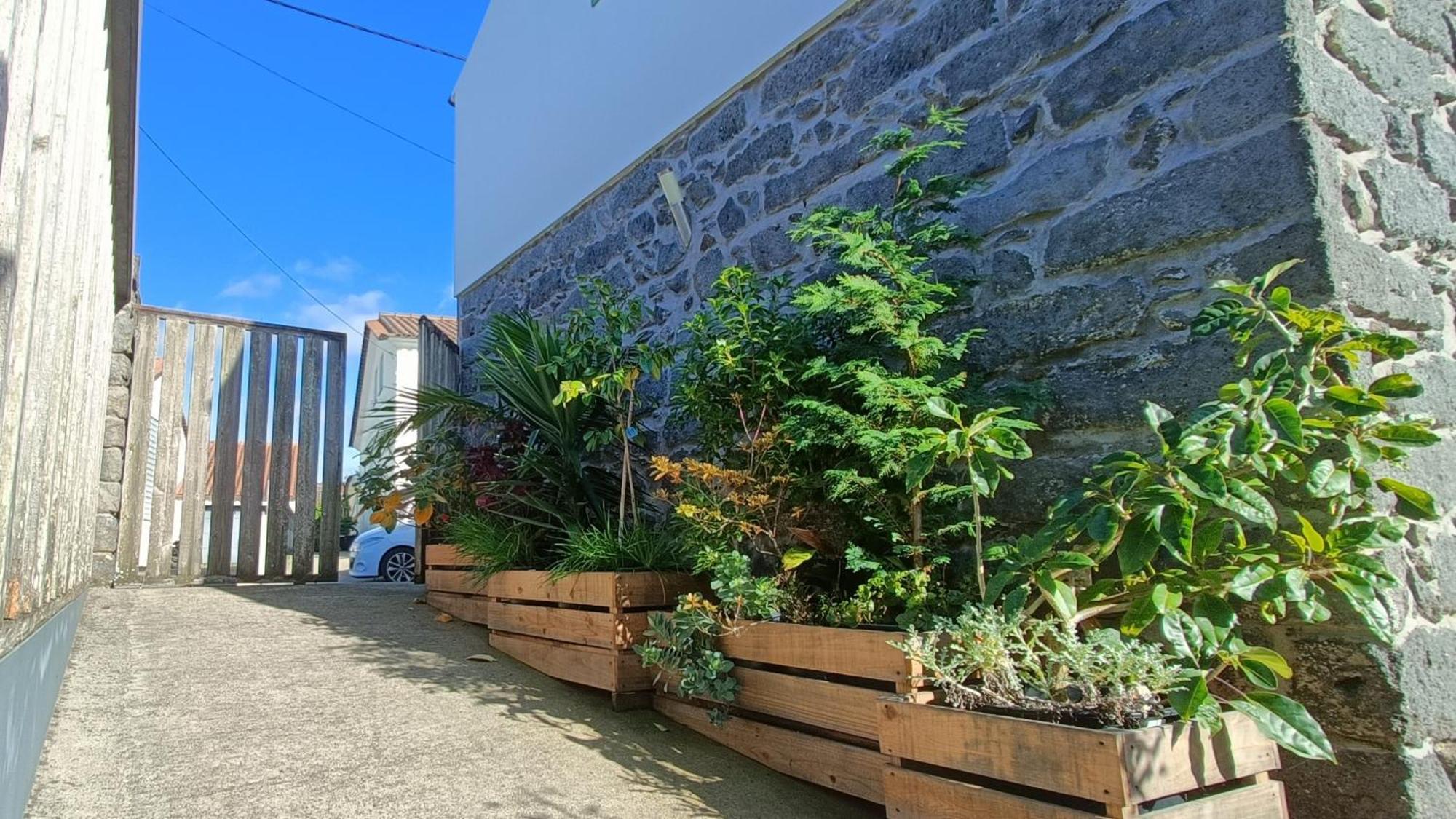 Tradicampo Eco Country Houses 诺德什蒂 外观 照片