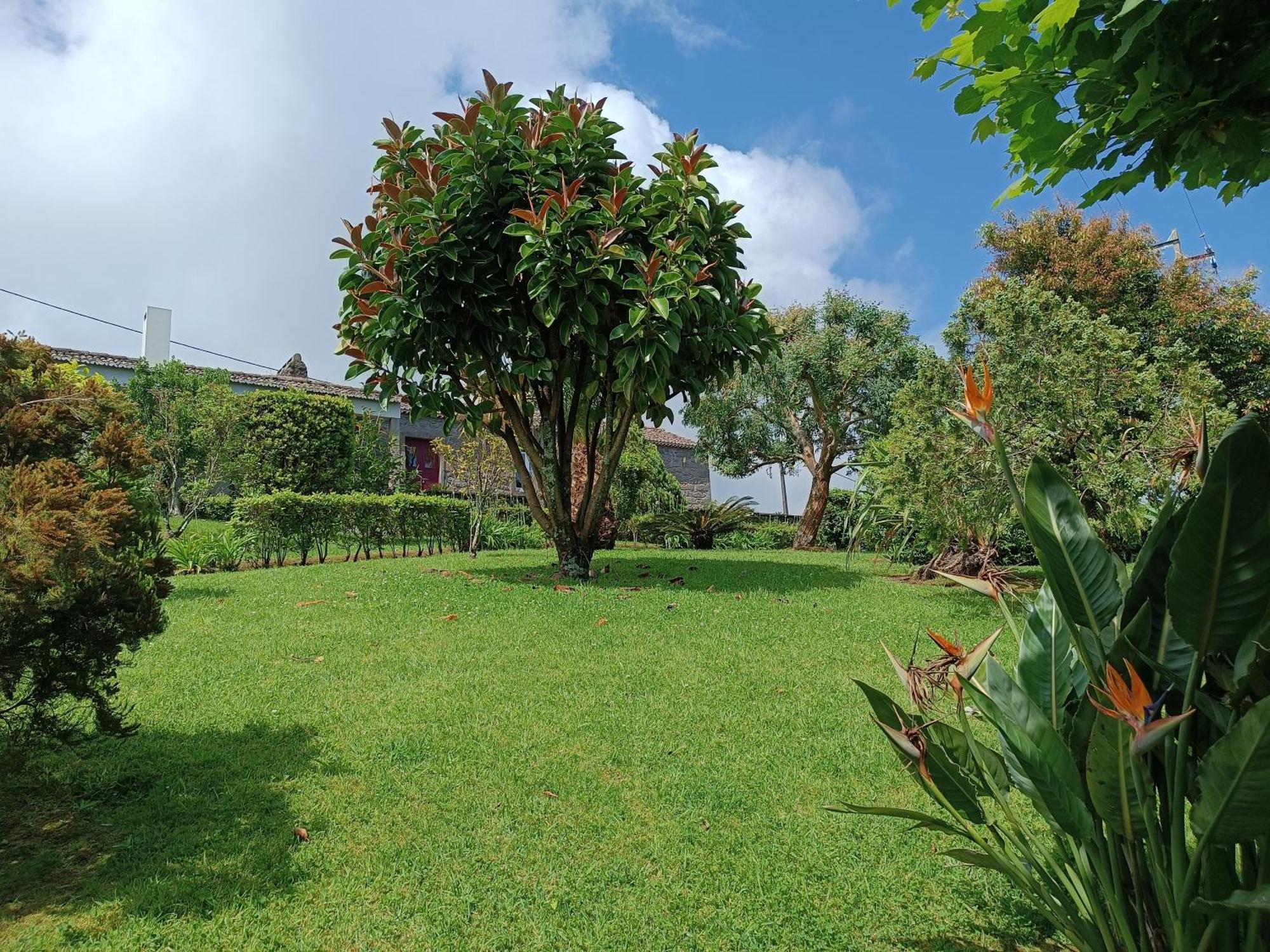 Tradicampo Eco Country Houses 诺德什蒂 外观 照片