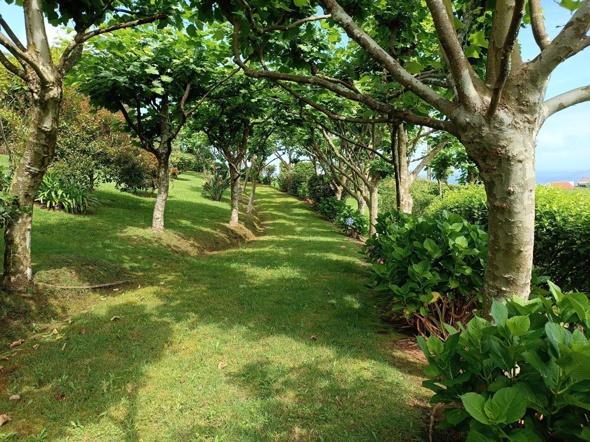 Tradicampo Eco Country Houses 诺德什蒂 外观 照片